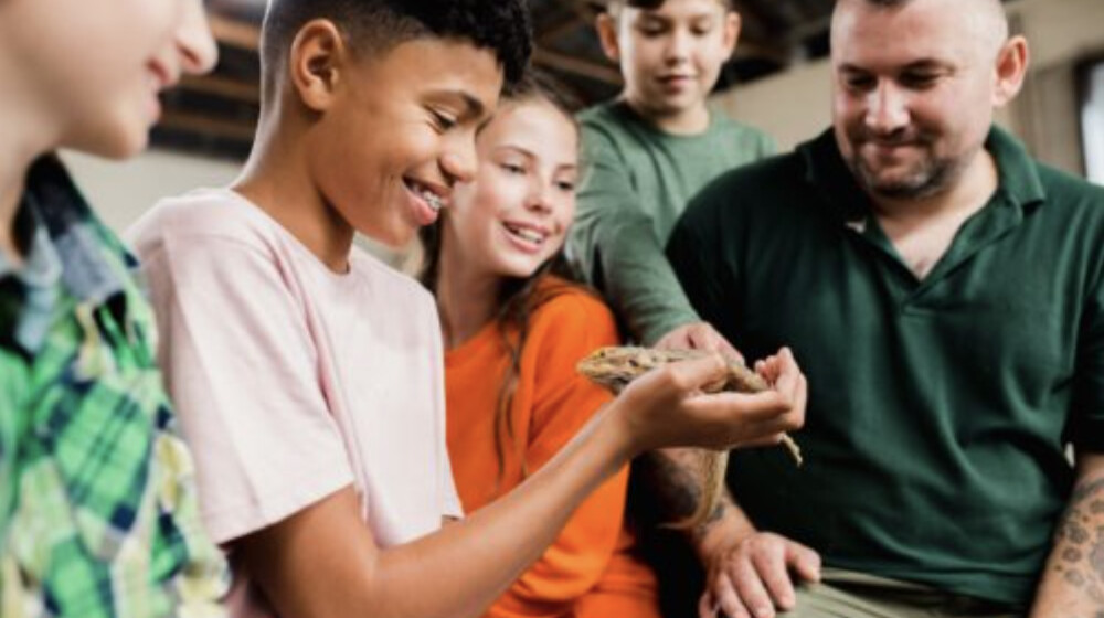 A picture of students learning about a lizard.